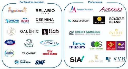 法式風(fēng)情與商務(wù)機(jī)遇 第八屆進(jìn)博會法國國家館引領(lǐng)浪漫與務(wù)實(shí)交融