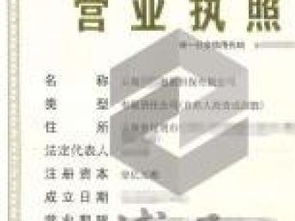 企業(yè)注冊與法律咨詢服務(wù)全攻略 深圳執(zhí)照、區(qū)塊鏈執(zhí)照、商業(yè)保理執(zhí)照及重慶法律商務(wù)咨詢解析